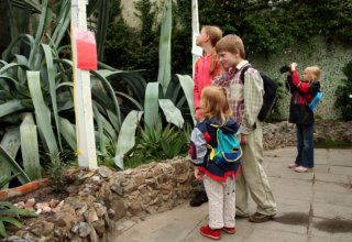 Children with rucksacks visiting big green greenhouse